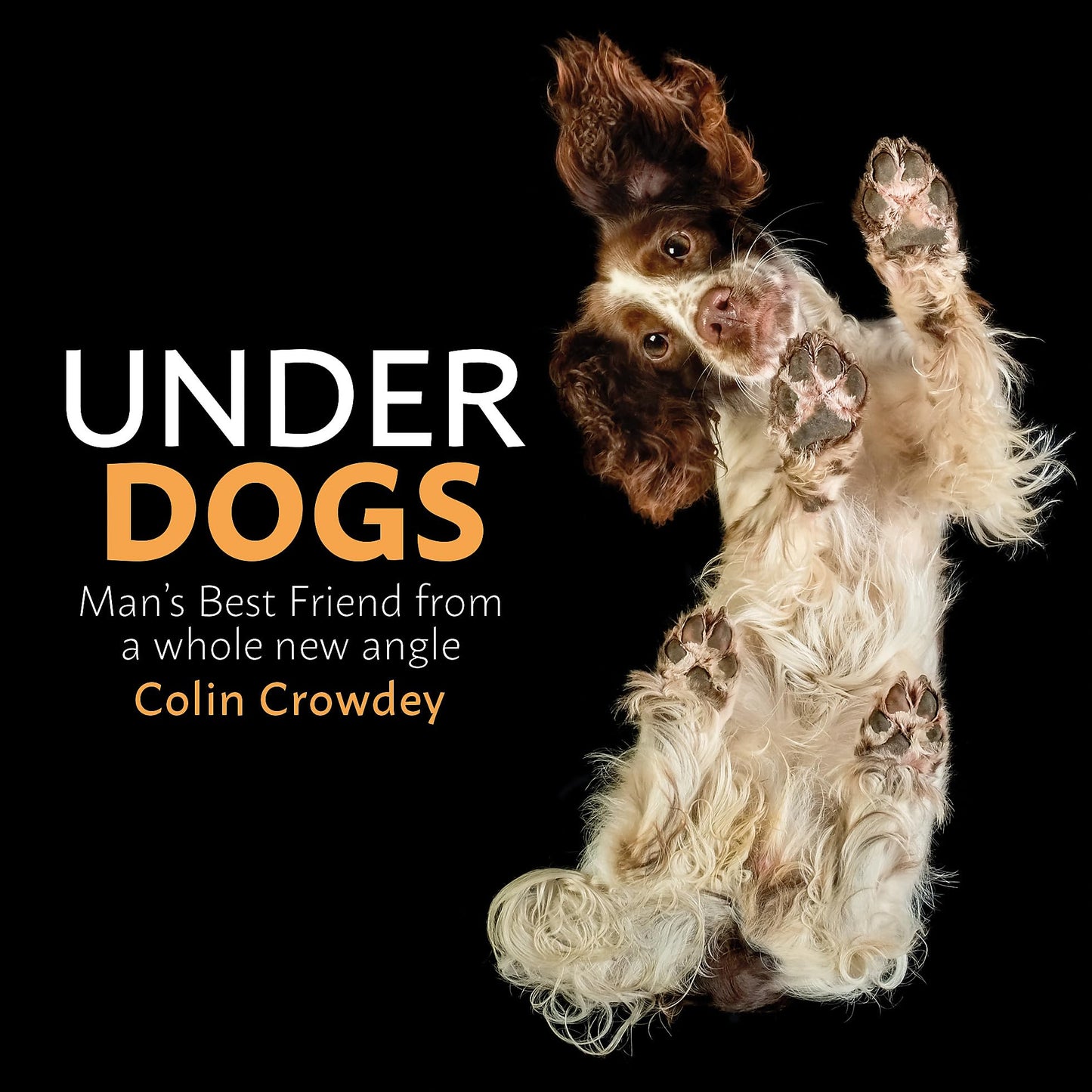 Under Dogs: Man’s Best Friend from a Whole New Angle