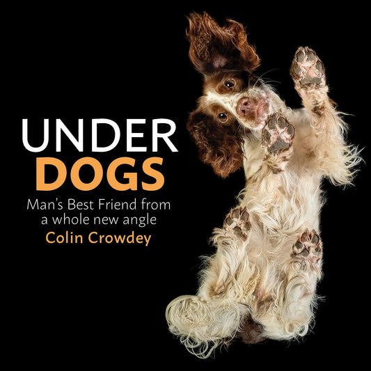 Under Dogs: Man’s Best Friend from a Whole New Angle